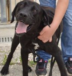 Notícias das Caldas