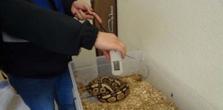 SEPNA da GNR: uma Polícia Ambiental ao serviço de todos Notícias das Caldas