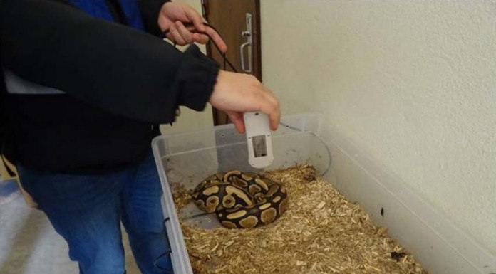 SEPNA da GNR: uma Polícia Ambiental ao serviço de todos Notícias das Caldas