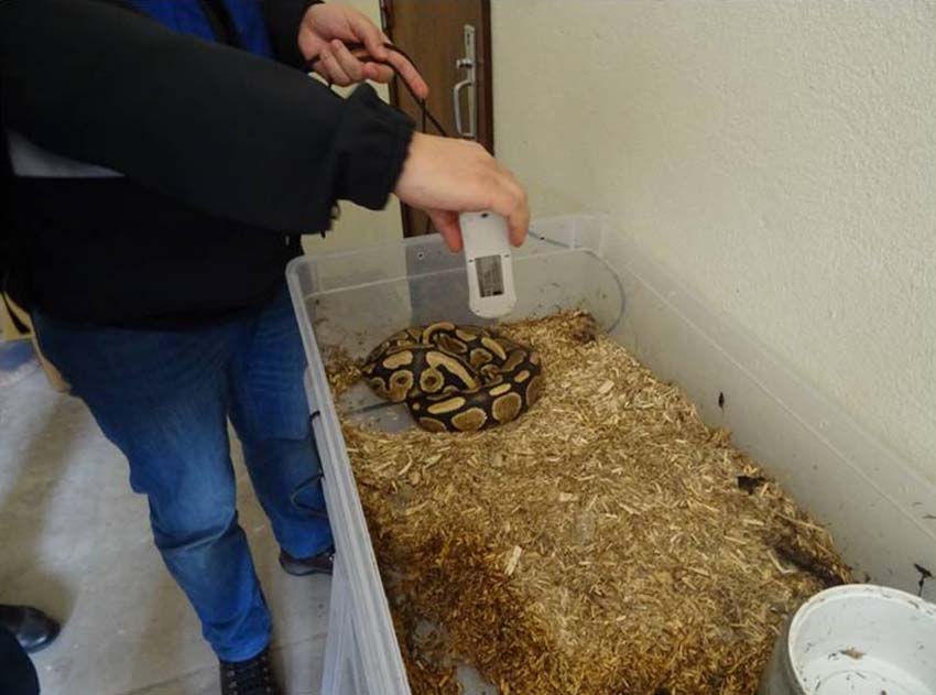 SEPNA da GNR: uma Polícia Ambiental ao serviço de todos