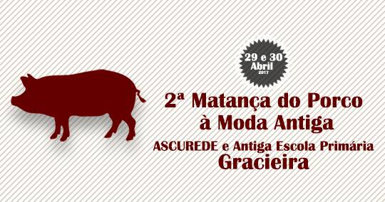 Matança de porco à moda antiga na Gracieira