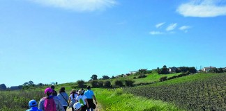 notícias das Caldas