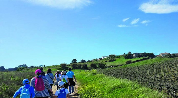Cadaval promove caminhadas em todas freguesias até Junho notícias das Caldas