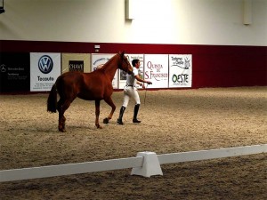 notícias das Caldas