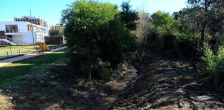 notícias das Caldas