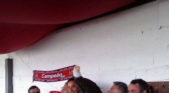 Convívio de Benfiquistas em Alfeizerão notícias das Caldas