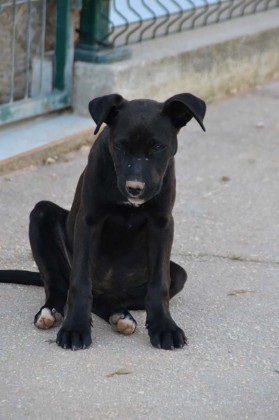 not&iacute;cias das Caldas