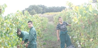 formação profissional