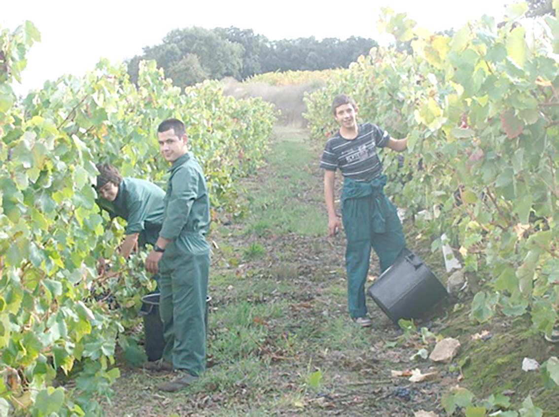 Alcobaça e Torres Vedras com escolas de formação profissional agrícola