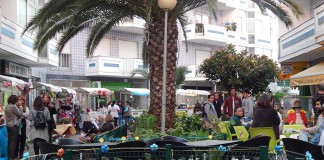 Flores animaram o Bairro Azul, mas faltou a adesão do público notícias das Caldas