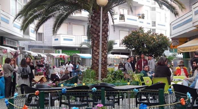 Flores animaram o Bairro Azul, mas faltou a adesão do público notícias das Caldas