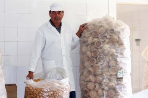 notícias das Caldas