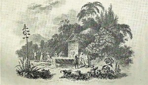 Notícias das Caldas