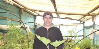 notícias das Caldas