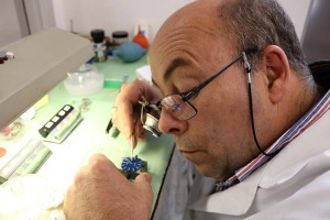 Gilberto Santos notícias das Caldas