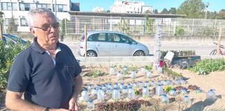 Hortas Urbanas - Gazeta das Cadlas