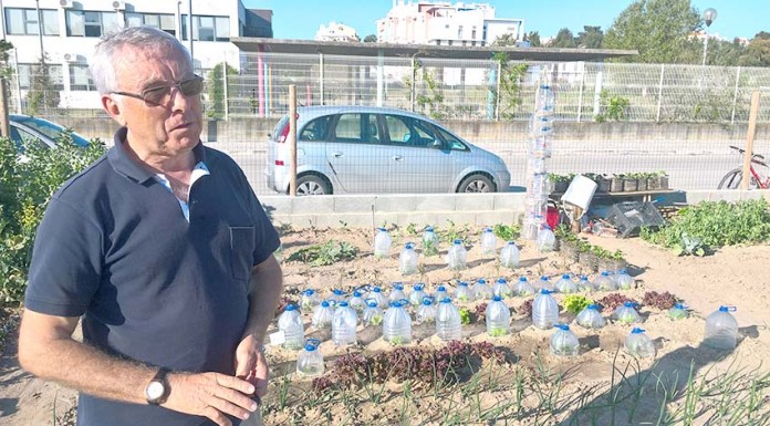 Hortas urbanas abastecem a despensa dos seus utilizadores e ajudam a combater o stress Hortas Urbanas - Gazeta das Cadlas