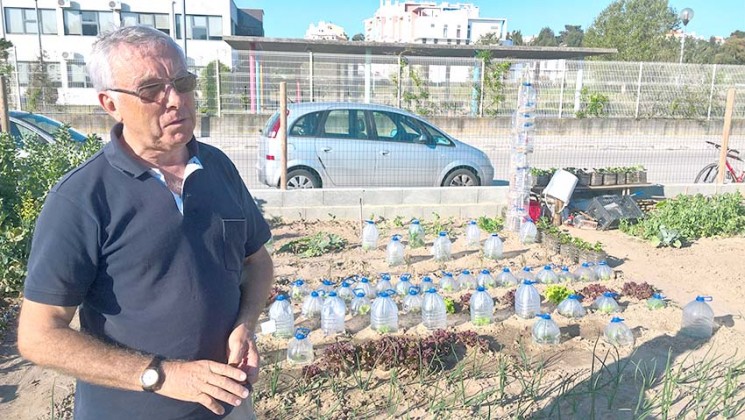 Hortas Urbanas - Gazeta das Cadlas