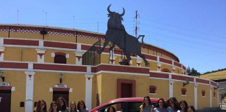 Nadadores dos Pimpões/Cimai em destaque no IV Meeting de Vila Franca de Xira notícias das Caldas