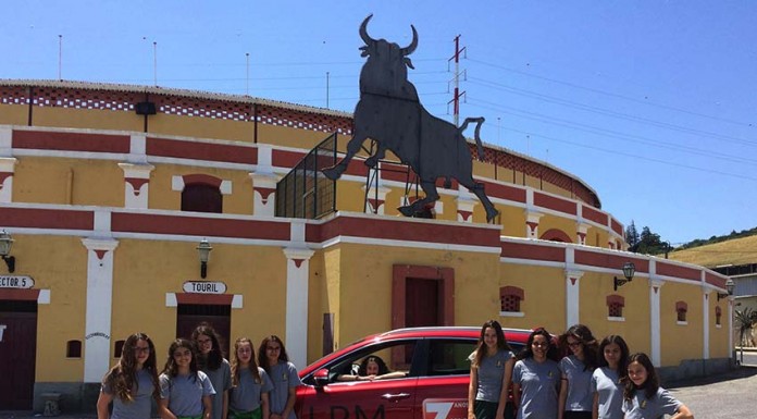 Nadadores dos Pimpões/Cimai em destaque no IV Meeting de Vila Franca de Xira notícias das Caldas