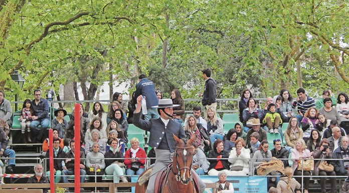 Oeste Lusitano vai ter mais de 100 espectáculos em três dias Noticias das Caldas