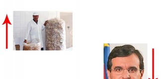 A semana do Zé Povinho 19/05/2017 notícias das Caldas