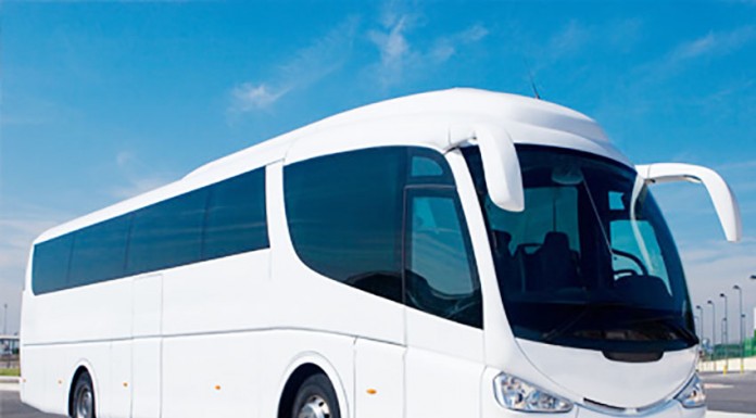 Concurso público internacional para concessionar transportes do Oeste Noticias das Caldas