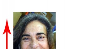 A semana do Zé Povinho 12-05-2017 notícias das Caldas