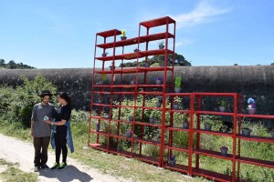 Notícias das Caldas