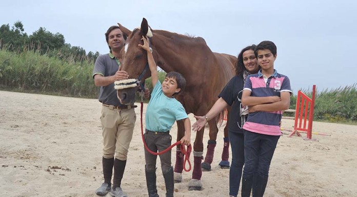 O Francisco e o Afonso treinam no Coto e já brilham nos saltos a cavalo Gazeta das Caldas