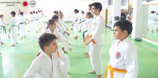 Encontro regional da Associação Shotokan Karate Internacional Portugal Gazeta das Caldas