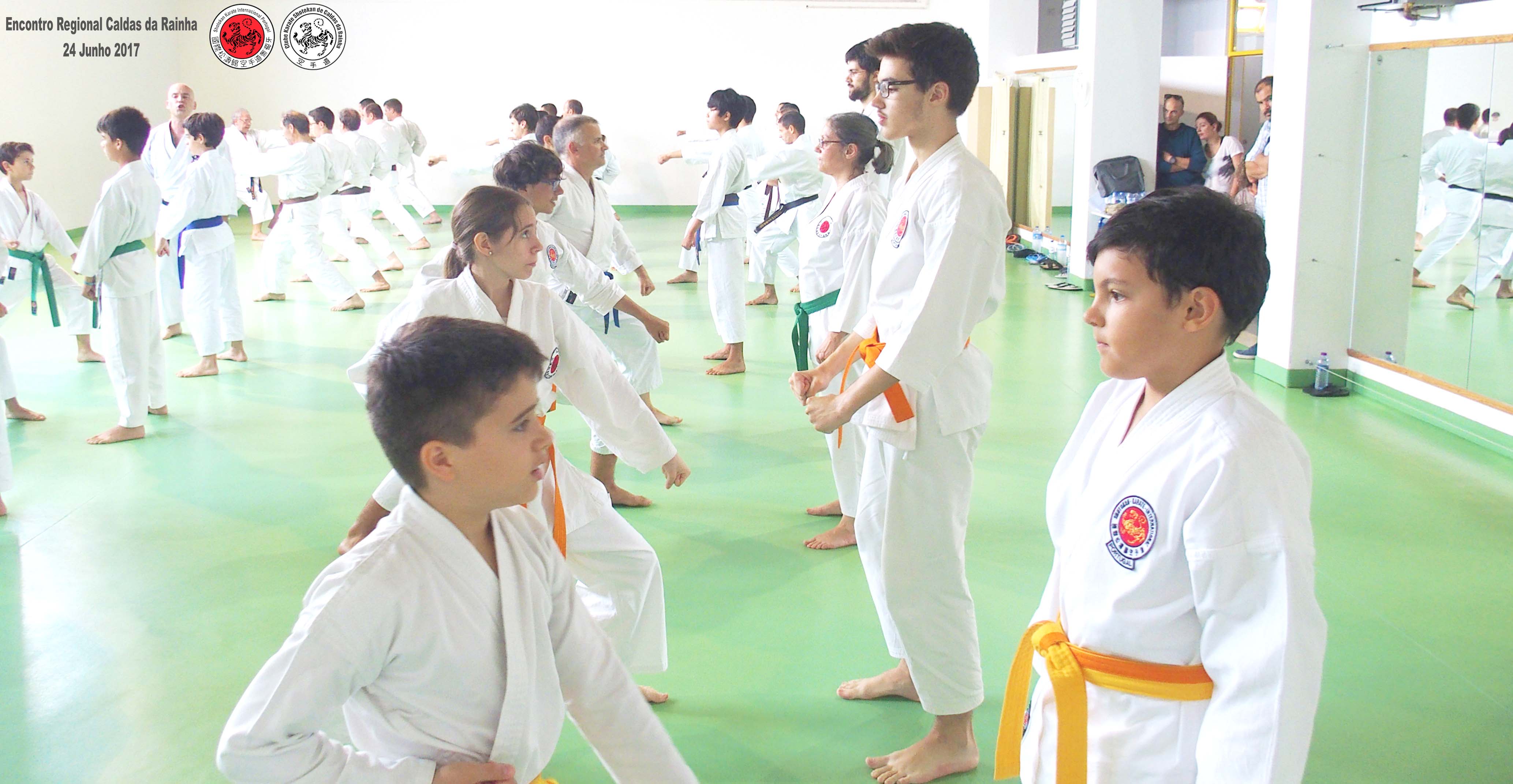 Encontro regional da Associação Shotokan Karate Internacional Portugal