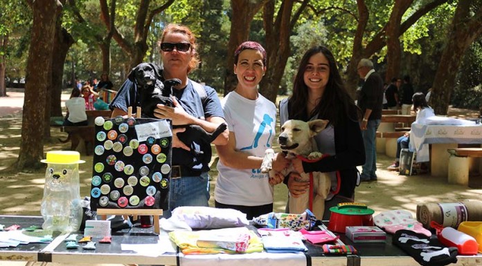 Encontro “Petnet” reuniu seis associações oestinas Notícias das Caldas