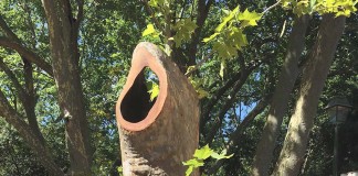 Plátanos do Parque transformam-se em obras de arte Gazeta das Caldas