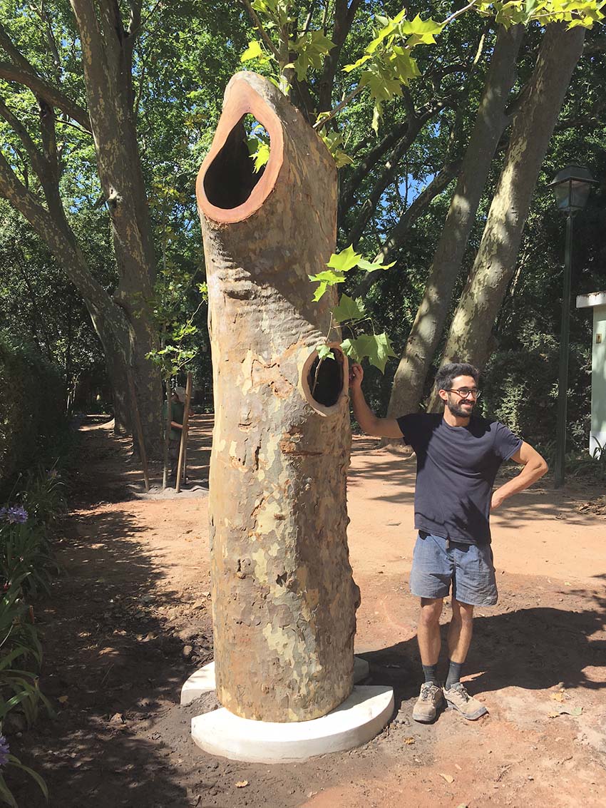 Plátanos do Parque transformam-se em obras de arte