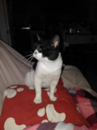 Not&iacute;cias das Caldas