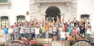 Desfile de tractores antigos passou pelo Bombarral Gazeta das Caldas