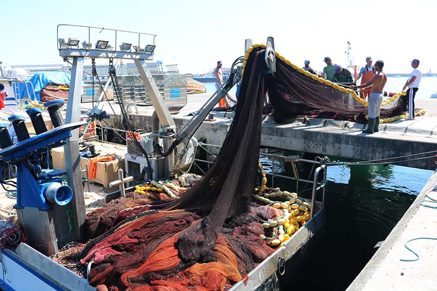 Barco de Pesca notícias das Caldas
