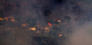 Bombeiros das Caldas e de Óbidos destacam violência física e emocional da tragédia de Pedrogão