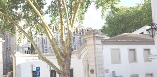 Só a Visabeira respondeu ao concurso para transformar os Pavilhões do Parque em hotel Gazeta das Caldas