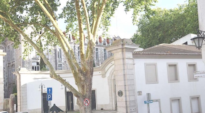 Só a Visabeira respondeu ao concurso para transformar os Pavilhões do Parque em hotel Gazeta das Caldas