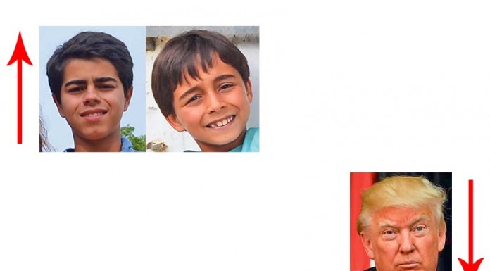 A semana do Zé Povinho notícias das Caldas