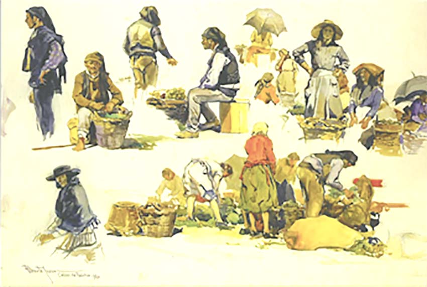 MAÇAS, RABANETES, ALFACES, NABOS E BATATAS À DISCRIÇÃO…