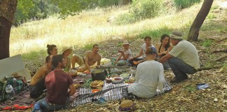 Projecto colaborativo levou participantes a viver um fim-de-semana na floresta