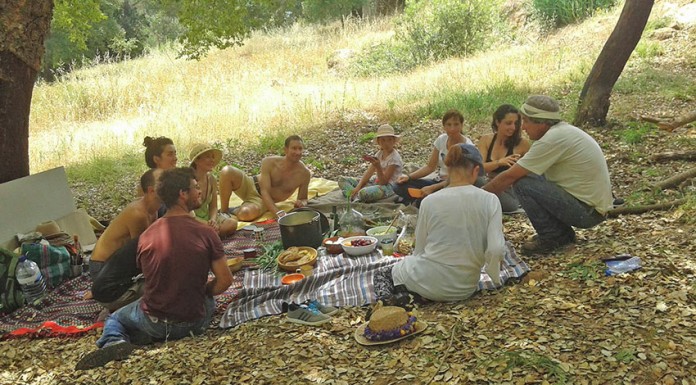 Projecto colaborativo levou participantes a viver um fim-de-semana na floresta