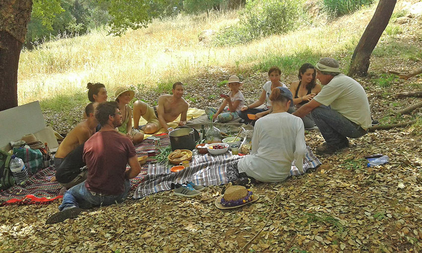 Projecto colaborativo levou participantes a viver um fim-de-semana na floresta
