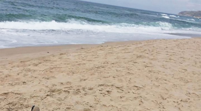 Corvina com 46 quilos foi pescada na Praia do Bom Sucesso