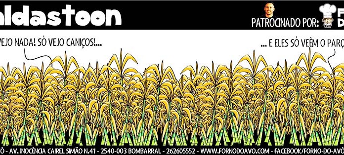 Caldastoon 133 Gazeta das Caldas