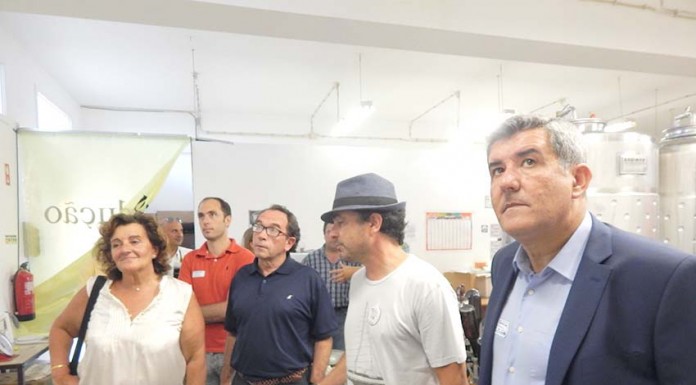 Desde 2009 o Caldas Empreende já incubou 30 empresas Caldas Empreende