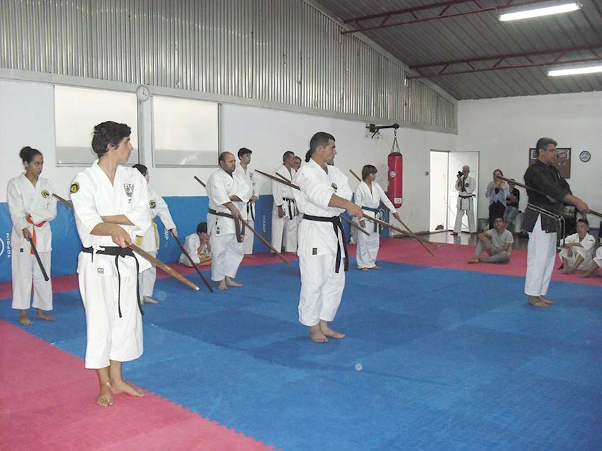 Estágio inter-associações e inter-estilos de karaté-do em Moscavide